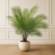 Artificial Plant